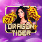 nustar casino live Dragon Tiger